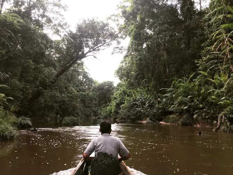 Heading upriver by canoe through the Borneo rainforest