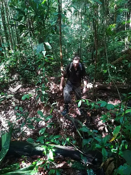 Tim trekking through dense Borneo rainforest