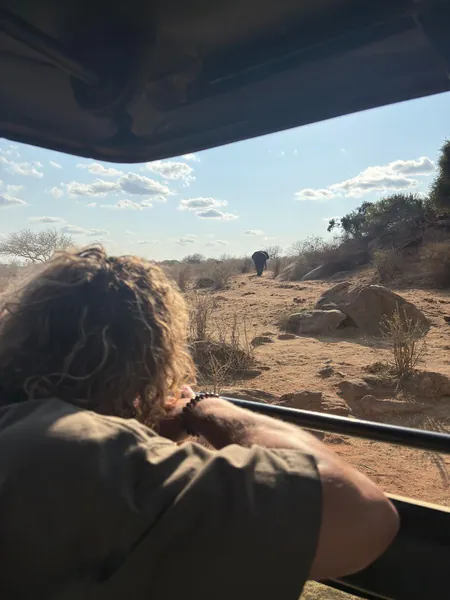 Watching an elephant from a safari vehicle in Kenya