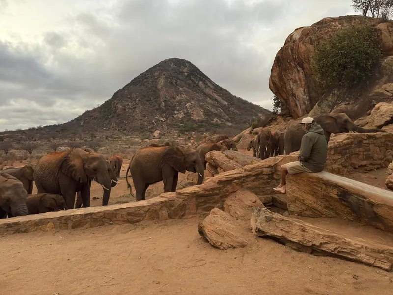 Tim sitting on a stone ledge beside a herd of elephants in Kenya